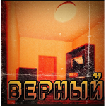 [CAV-C] Bерный
