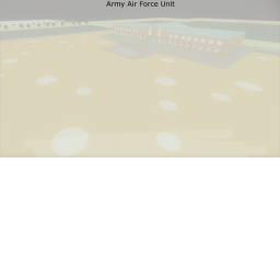 Army Air Force Unit