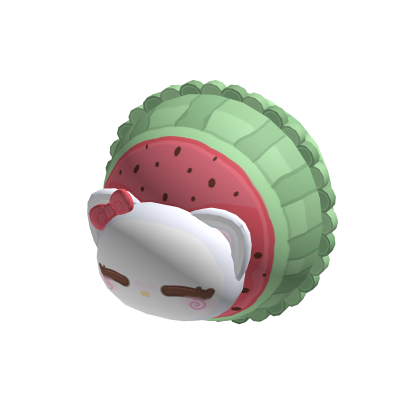 HANDHELD  Watermelon Beach Ball thumbnail