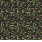 Royal HighΙand Regiment