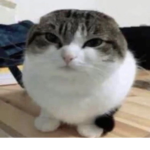Comberdude server