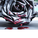 White Rose Model