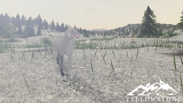 Yellowstone