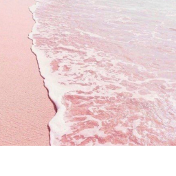 can