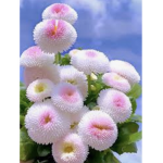 Blooming Mythics