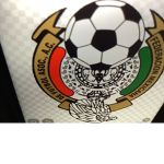 Pro Mexican group