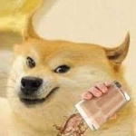 doge lost his choky milk