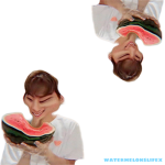 watermelonslifex