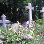 Persephones Garden
