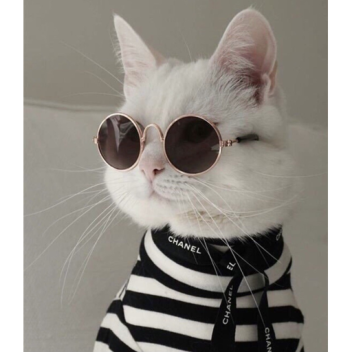 [GAMEPASSES ON SALE] WojtekIntention Simulator