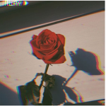 Lil' Roses