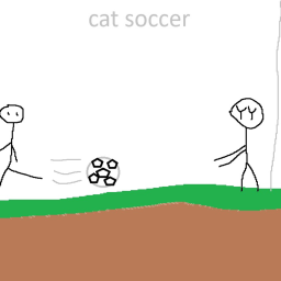Cat soccer