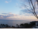 미나tv클럽