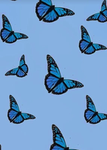 sHmAhSen sChMeTtErLiNgE