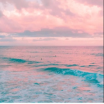*Ocean Squad*