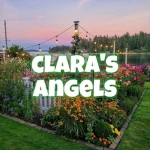 - clara's angels - Group Thumbnail