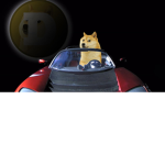 Doge Gamerz