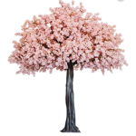 blossom15royal fan group