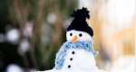 Snowy Studio-