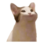 Popcat #######