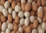Five star egg