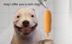 corndog farm