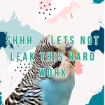 Parakeet Entertainment
