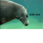 side eyeee