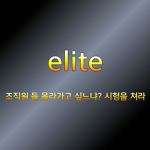 elite조직 시험공지방