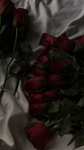 Cotton _Cloudz
