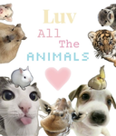 Luv-All-The-Animals