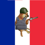 french military of dogs