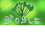 TEAM BROGLE