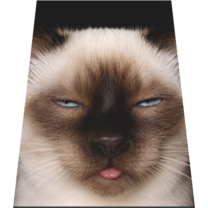 Silly Siamese Cat Cape Roblox item