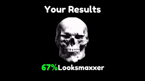 Are You A Looksmaxxer Test