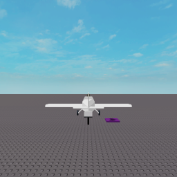Airplane Game (BACK)