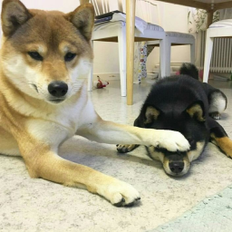 .