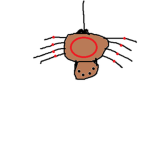 Spider I N C