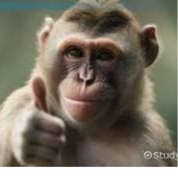 Sigma game(under construction21)