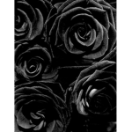 The Roses Empire