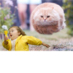 floating cat lol
