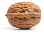 the nut bois