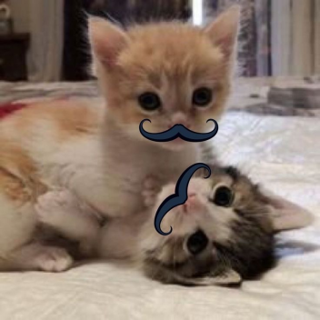 ♡