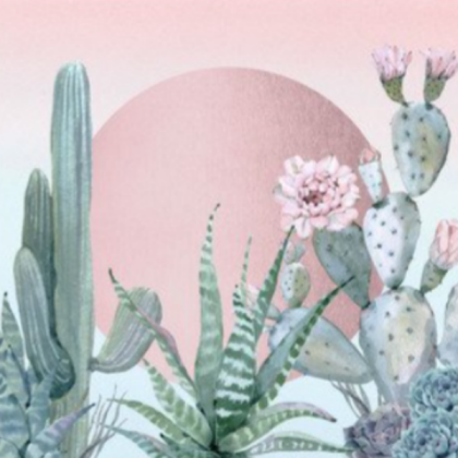 cute cacti Roblox decal