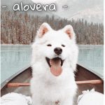 - alovera -