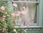 <33__3
