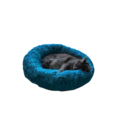 Cat Sleeping