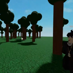 The Woods
