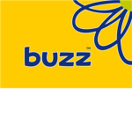 Camp Buzz