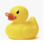Ducksssssssssssssssssssssssssssssssssssssssssss